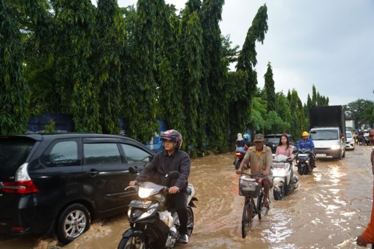 Pelindo Berulah,Rakyat Dibuat Susah