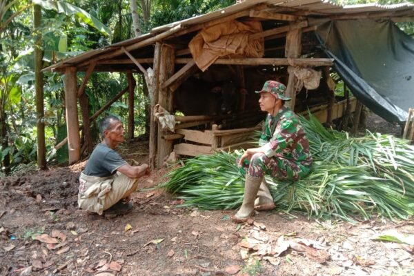 Anggota Satgas TMMD ke 123 Kodim 0412/LU Komsos dengan Peternak Sapi.