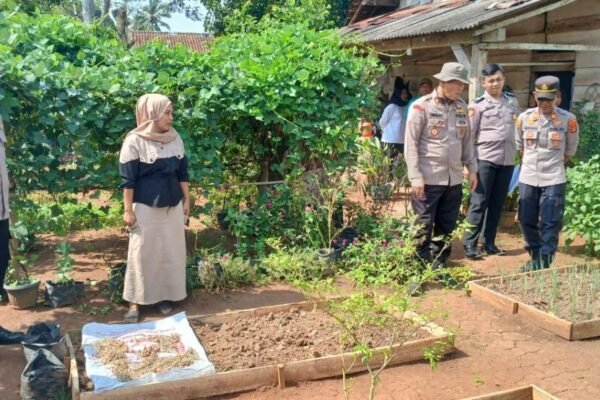 Jelang Hari Bhayangkara Ke 79, Polsek Jajaran Polres Way Kanan Gelar Lomba Pekarangan Pangan Bergizi (P2B)