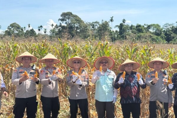 Kapolres Oku Selatan pimpin panen raya jagung