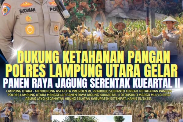 Dukung Ke tahanan Pangan, Polres Lampung Utara Gelar Panen Raya Jagung Serentak Kuwartal II