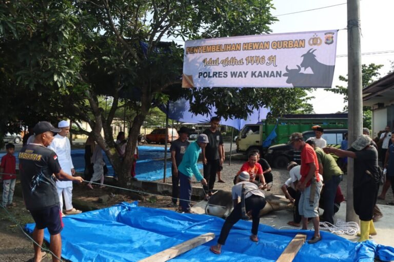 Idul Adha 1446 H, Polres Way Kanan Gelar Salat Bersama dan Penyembelihan Hewan Kurban