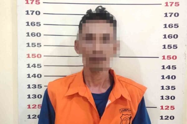 Polsek Kalianda Tangkap Pelaku Curanmor Sapi, Satu Ekor Sapi Metal Diamankan 👇👇👇👇👇