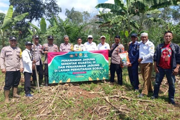 Tanam Jagung Serentak Kuartal III, Polres Way Kanan Siap Dukung Program Swasembada Pangan