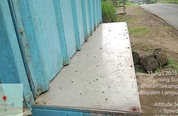 LImbah PT Central Alvian Pertiwi ( CAP ) Timbulkan Wabah Lalat Di Desa Gunung Sugih Besar, Kemana Peran Pemerintah