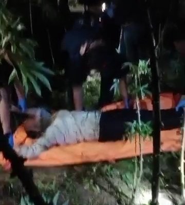 IRT di Lampung Utara Ditemukan Tewas di Kebun Singkong, Diduga Korban Pembunuhan
