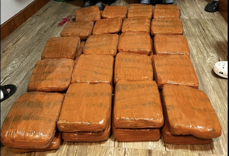 Polda Lampung Gagalkan Penyelundupan 40 Kg Ganja, Kurir Asal Padang Ditangkap