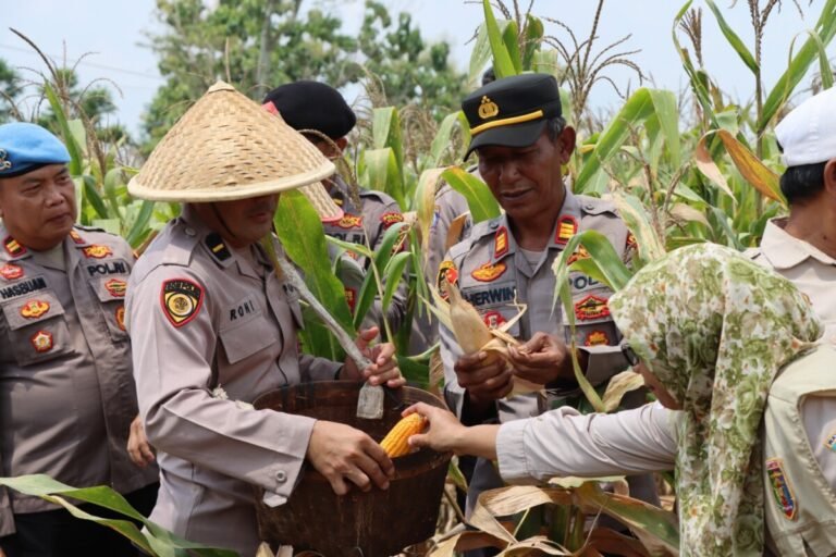 Polres Way Kanan Ikuti Zoom Meeting Panen Jagung Serentak Kuartal III di Baradatu