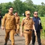 Wakil Bupati Tinjau Lokasi Panen Raya dan Persiapan Kunjungan Presiden Republik Indonesia di Desa Madukoro