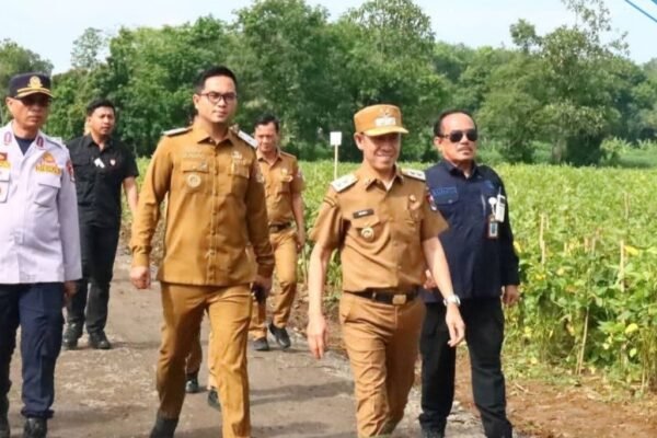 Wakil Bupati Tinjau Lokasi Panen Raya dan Persiapan Kunjungan Presiden Republik Indonesia di Desa Madukoro