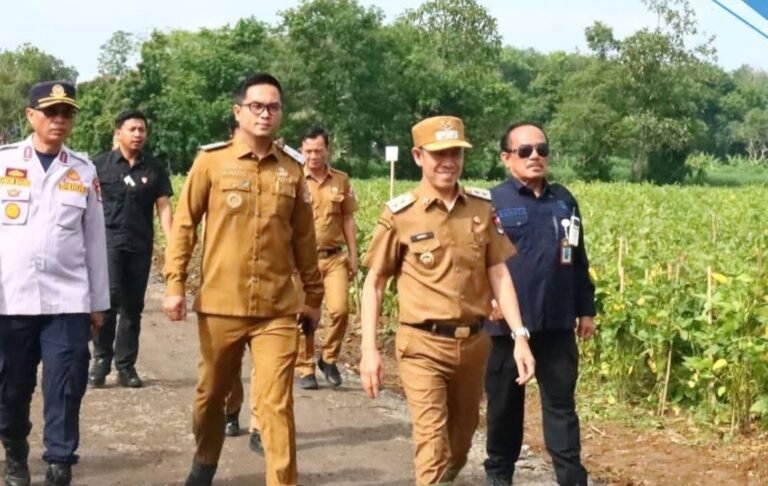 Wakil Bupati Tinjau Lokasi Panen Raya dan Persiapan Kunjungan Presiden Republik Indonesia di Desa Madukoro