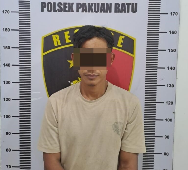 Polsek Pakuan Ratu Ringkus Pelaku Curat 62 Tandan Buah Sawit  di PT. BNIL Blok 1