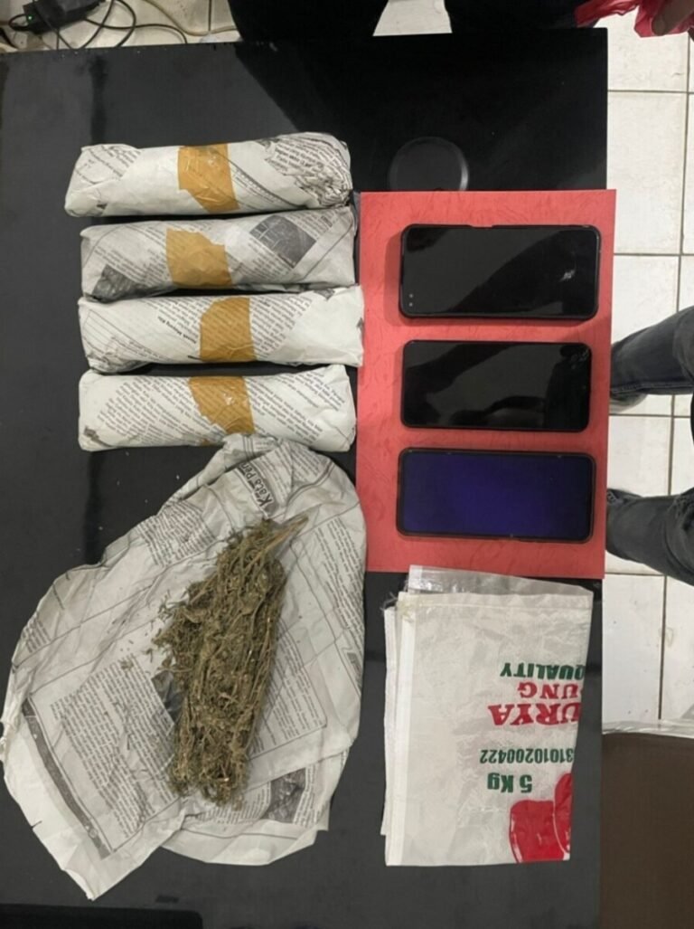 Satresnarkoba Polres Lampung Utara Gagalkan Peredaran 5 Kg Ganja, Kurir dan Bandar Ditangkap