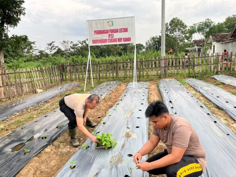 Dukung Ketahanan Pangan Progam MBG Polres Way Kanan Memanfaatkan Lahan Tanam Sayur